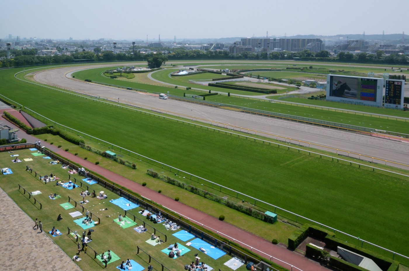 東京競馬場